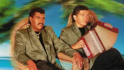 chiches del vallenato.webp