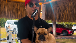 Alfonso Stummo, cantante vallenato